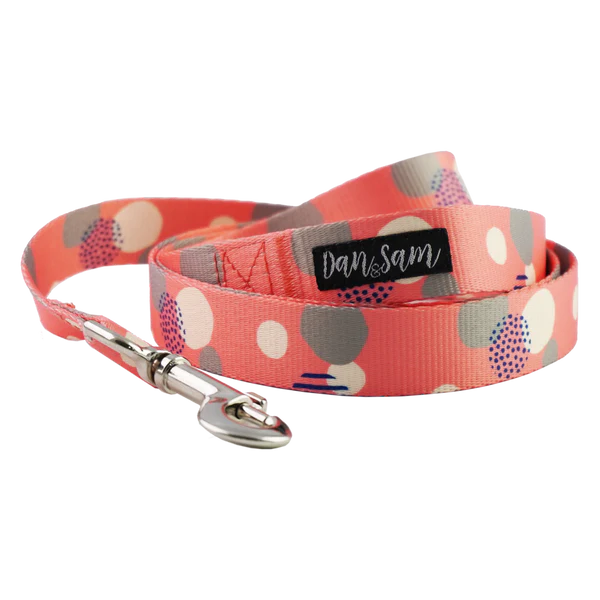 Dan & Sam - Fabulous - Polyester Webbing Dog Lead