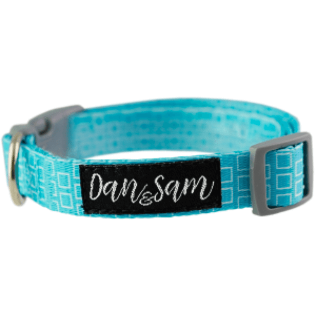 Dan & Sam - Grooving - Adjustable Polyester Webbing Dog Collar