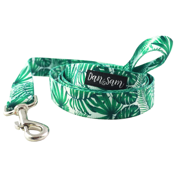 Dan & Sam - Lahana - Polyester Webbing Dog Lead