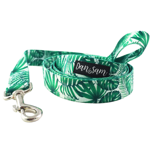 Dan & Sam - Lahana - Polyester Webbing Dog Lead