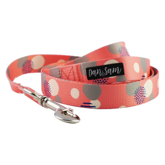 Dan & Sam - Fabulous - Polyester Webbing Dog Lead