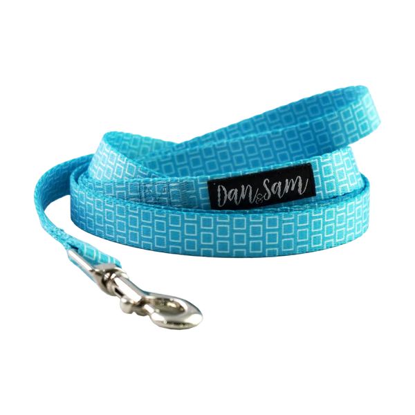 Dan & Sam - Grooving - Polyester Webbing Dog Lead