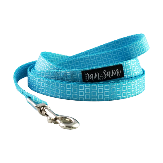 Dan & Sam - Grooving - Polyester Webbing Dog Lead