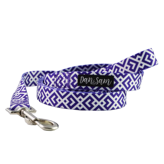 Dan & Sam - Purple Delight - Polyester Webbing Dog Lead