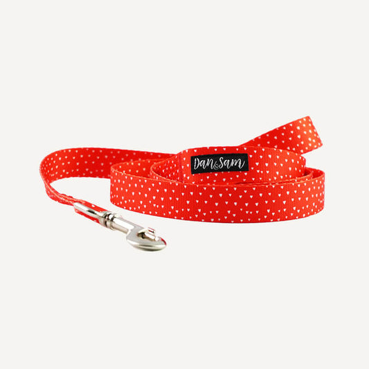 Dan & Sam - Raining Hearts - Polyester Webbing Dog Lead