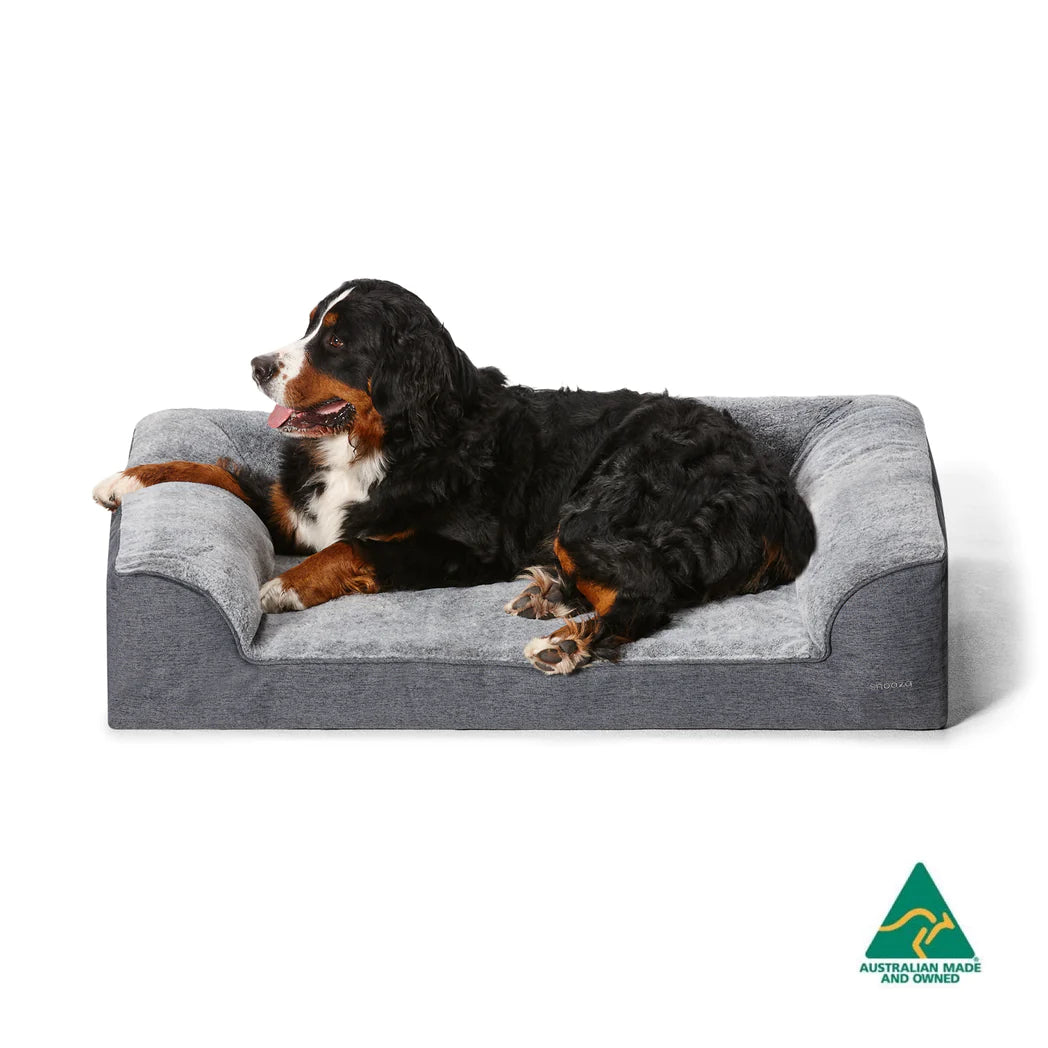 Snooza - Ortho Dream Sofa