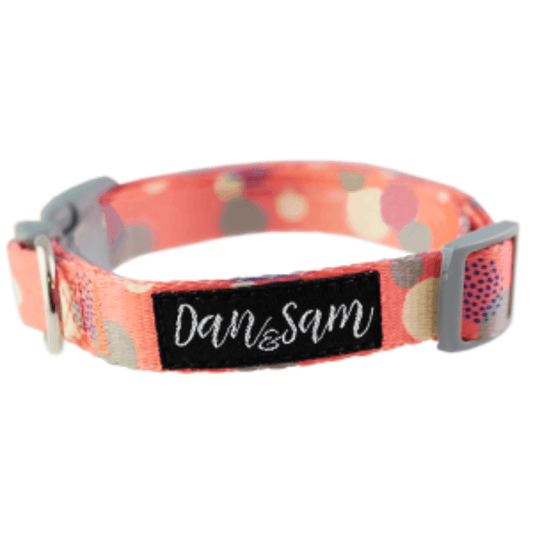 Dan & Sam - Fabulous - Adjustable Polyester Webbing Dog Collar