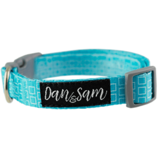 Dan & Sam - Grooving - Adjustable Polyester Webbing Dog Collar
