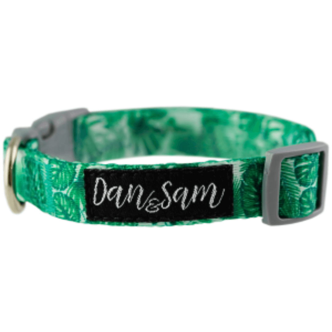 Dan & Sam - Lahana - Adjustable Polyester Webbing Dog Collar