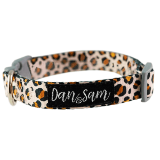 Dan & Sam - Wild One - Adjustable Polyester Webbing Dog Collar